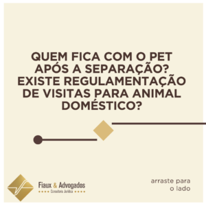 Quem fica com o pet após a separação? Existe regulamentação de visitas para animal doméstico?