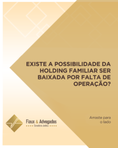 Existe a possibilidade da holding familiar ser baixada por falta de operação?